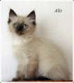 /album/aliz/aliz-9-hetes-003-jpg/